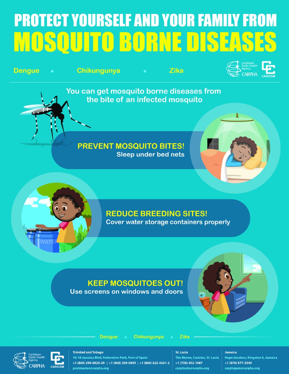 Dengue Fever Guidelines