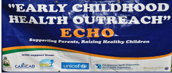 echo banner